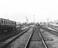 Crewe Collection