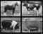 British Transport Films Collection