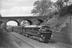 E. D. Bruton collection