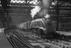 Eric Treacy Photographic Collection