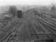 Windwood Collection of photographs