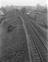 Windwood Collection of photographs
