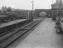 Windwood Collection of photographs