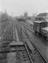 Windwood Collection of photographs