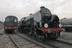 Steam locomotive, named Sir Lamiel