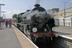 Steam locomotive, named Sir Lamiel