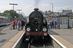 Steam locomotive, named Sir Lamiel