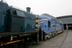 English Electric Company diesel electric locomotive 'Deltic' Co-Co 3300HP, 1955